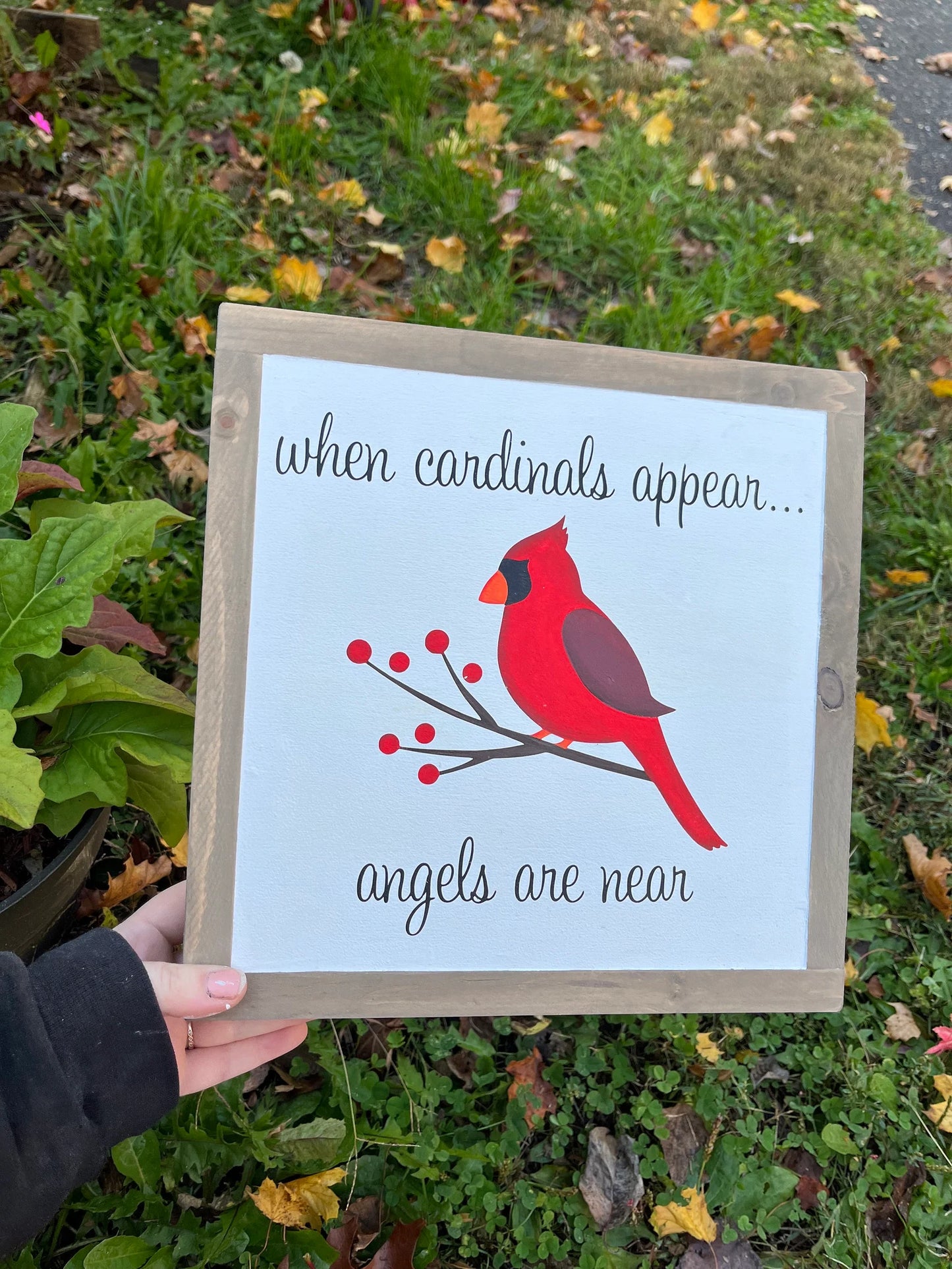 Cardinals Appear